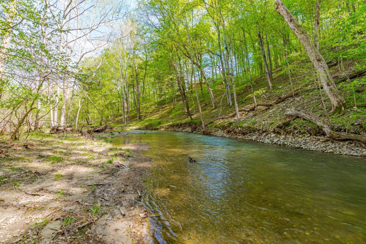 River Access Cabin With Hot Tub, Fire Pit, & Wifi! Morton Grove 외부 사진